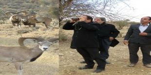 بازدید معاون فرهنگی و  دانشجویی دانشگاه فنی حرفه ای کشور به همراه  دکتر میرفخرالدینی رئیس دانشگاه فنی استان از سایت علمی و تحقیقاتی پروش قوچ ومیش وحشی آموزشکده امین خاتم
