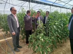 بازدید رییس دانشگاه ملی مهارت استان یزد از آموزشکده امین خاتم  2