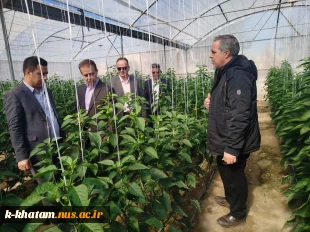 بازدید رییس دانشگاه ملی مهارت استان یزد از آموزشکده امین خاتم 5