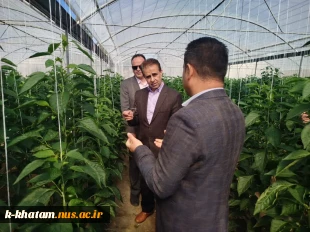بازدید رییس دانشگاه ملی مهارت استان یزد از آموزشکده امین خاتم 9