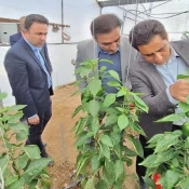 بازدید فرماندار و رئیس پارک علم و فناوری از مرکز توسعه بیولوژیک بدون سم و پرورش حشرات مفید در شهرستان خاتم 2