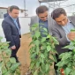 بازدید فرماندار و رئیس پارک علم و فناوری از مرکز توسعه بیولوژیک بدون سم و پرورش حشرات مفید در شهرستان خاتم