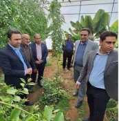 بازدید فرماندار و رئیس پارک علم و فناوری از مرکز توسعه بیولوژیک بدون سم و پرورش حشرات مفید در شهرستان خاتم 3